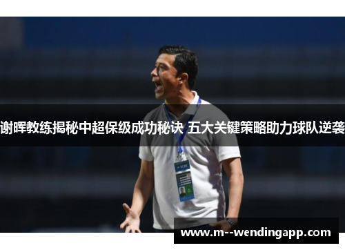 谢晖教练揭秘中超保级成功秘诀 五大关键策略助力球队逆袭 谢晖教练揭秘中超保级成功秘诀 五大关键策略助力球队逆袭