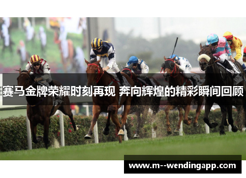 赛马金牌荣耀时刻再现 奔向辉煌的精彩瞬间回顾 赛马金牌荣耀时刻再现 奔向辉煌的精彩瞬间回顾