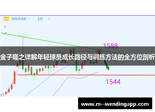 金子隆之详解年轻球员成长路径与训练方法的全方位剖析 金子隆之详解年轻球员成长路径与训练方法的全方位剖析