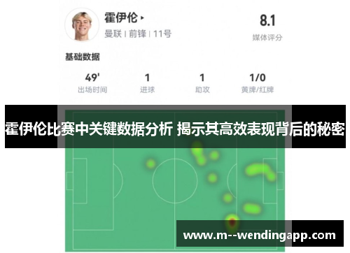 霍伊伦比赛中关键数据分析 揭示其高效表现背后的秘密