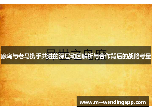 魔鸟与老马携手共进的深层动因解析与合作背后的战略考量