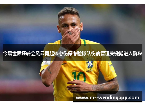 今晨世界杯转会风云再起核心伤停考验球队伤病管理关键期进入阶段