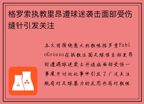 格罗索执教里昂遭球迷袭击面部受伤缝针引发关注 格罗索执教里昂遭球迷袭击面部受伤缝针引发关注